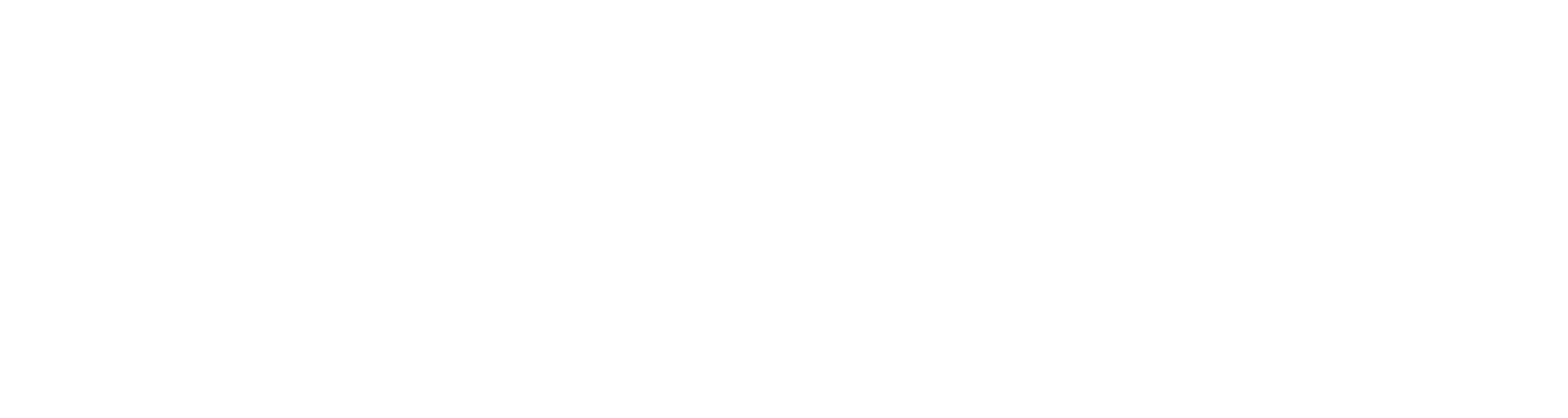Transleme Express Logo